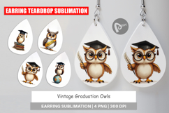 Vintage Graduation Owls Earring Product Image 1