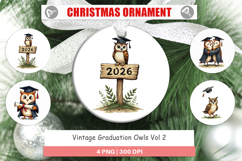 Vintage Graduation Owls Ornament Product Image 1