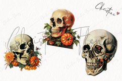 Vintage Halloween Skulls Clipart | Halloween PNG Product Image 3