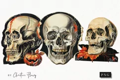 Vintage Halloween Skulls Clipart | Halloween PNG Product Image 1