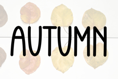 Vintage Handmade Product Image 6