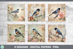 Bundle of six Decoupage Juncos Paper Backgrounds designs.