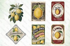 Vintage Lemon Sublimation Bundle Product Image 6