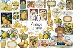 Vintage Lemon Sublimation Bundle Product Image 1