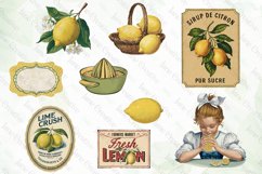 Vintage Lemon Sublimation Bundle Product Image 3