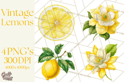 Vintage Lemon Botanical PNG Clipart, Citrus Fruit Product Image 1