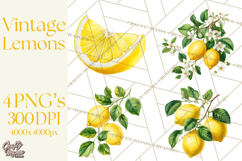 Vintage Lemon Botanical PNG Clipart, Citrus Fruit Product Image 1