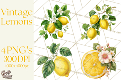 Vintage Lemon Botanical PNG Clipart, Citrus Fruit Product Image 1