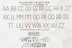 Vintage Minimalist Product Image 5