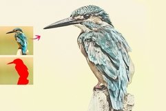 Vintage Money Effect Product Image 6
