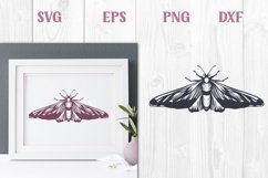 vintage moth svg cut file
