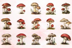 Watercolor Vintage Mushroom Clipart Bundle Product Image 2