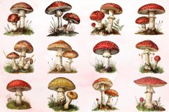Vintage Mushroom Sublimation Clipart Bundle Product Image 2