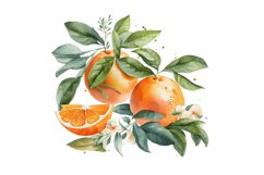 Watercolor Orange,Orange Wreaths,Watercolor clipart,Watercolor botanical,Orange clipart,Watercolor Frames,Flower arrangements,Orange Collection,Watercolor Bundle,Flower bundle,Ranunculus clipart,Watercolor png,orange watercolor,Citrus clipart,cutie clipar