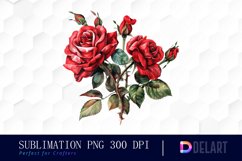 Vintage Painted Red Roses Watercolor Clipart Product Image 1