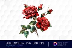 Vintage Painted Red Roses Watercolor Clipart Product Image 1
