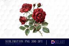 Vintage Painted Red Roses Watercolor Clipart Product Image 1