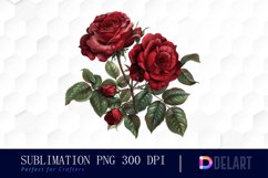 Vintage Painted Red Roses Watercolor Clipart Product Image 1