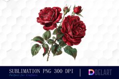 Vintage Painted Red Roses Watercolor Clipart Product Image 1