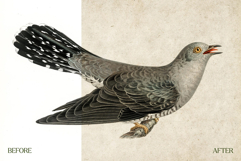 Vintage Paper Textures Product Image 3