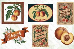 Vintage Peach Sublimation Bundle Product Image 2