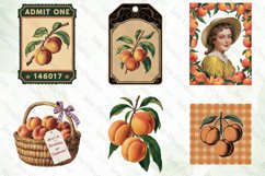 Vintage Peach Sublimation Bundle Product Image 6