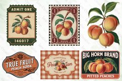 Vintage Peach Sublimation Bundle Product Image 5