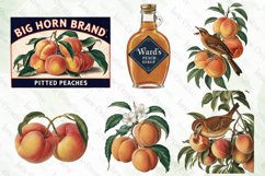 Vintage Peach Sublimation Bundle Product Image 4