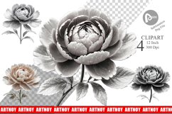 Clipart Peony Sketch Product Image 1