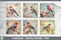 Bundle of six Decoupage Pine Grosbeaks Paper Backgrounds designs.