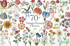 Vintage Pressed Flowers Clipart Bundle Product Image 1
