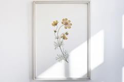 Vintage Pressed Flowers Clipart Product Image 5