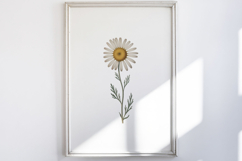 Vintage Pressed Flowers Clipart Product Image 5
