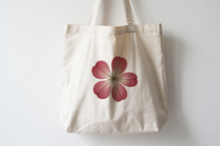 Vintage Pressed Flowers Clipart Product Image 4