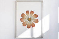 Vintage Pressed Flowers Clipart Product Image 5