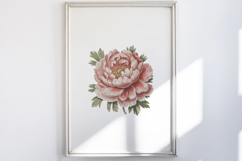 Vintage Pressed Flowers Clipart Product Image 5