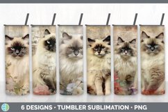 Bundle of six Decoupage Ragdoll Cats Tumbler designs.
