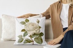 Vintage roses clipart png Product Image 4