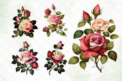 Vintage Rose Watercolor Sublimation Clipart Product Image 2