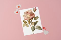Vintage roses clipart png Product Image 6