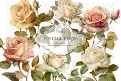 Vintage roses clipart png Product Image 1