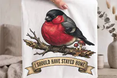 Sarcastic Nature I Hate It Out Here Grumpy Robin Bird PNG Product Image 2