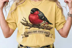 Sarcastic Nature I Hate It Out Here Grumpy Robin Bird PNG Product Image 1