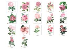 Vintage Shabby Flowers Clipart Product Image 3