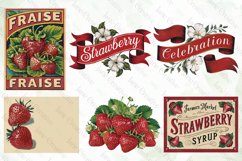 Vintage Strawberry Sublimation Bundle Product Image 7