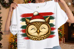 Vintage Stripes Owl Christmas PNG, Stripes PNG Design Product Image 1