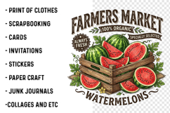 Vintage Summer Fruit Quotes PNG Product Image 2