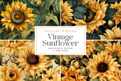 4 Vintage Sunflower Pattern Background Product Image 1