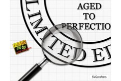 47th Birthday Svg Png, Vintage 1976 svg, Aged to perfection Product Image 2