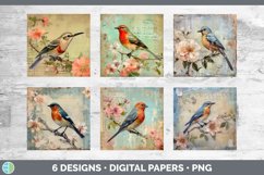 Bundle of six Decoupage Swifts Paper Backgrounds designs.